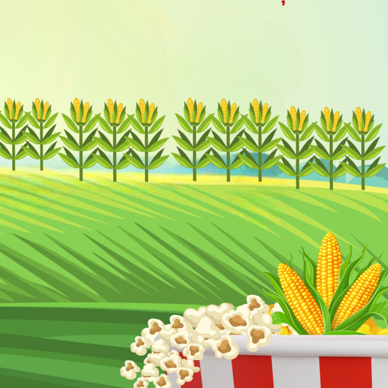 Apostila Festa da Transformação